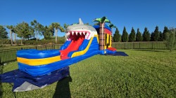 Double20Lane20Bounce20House20Rental20in20ParrishFl 1712374009 The Ultimate Guide to Water Slide Rental in Wimauma, FL