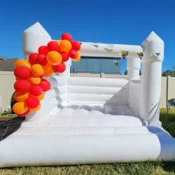 temp img 1 jpeg 930056995 White Luxury Castle